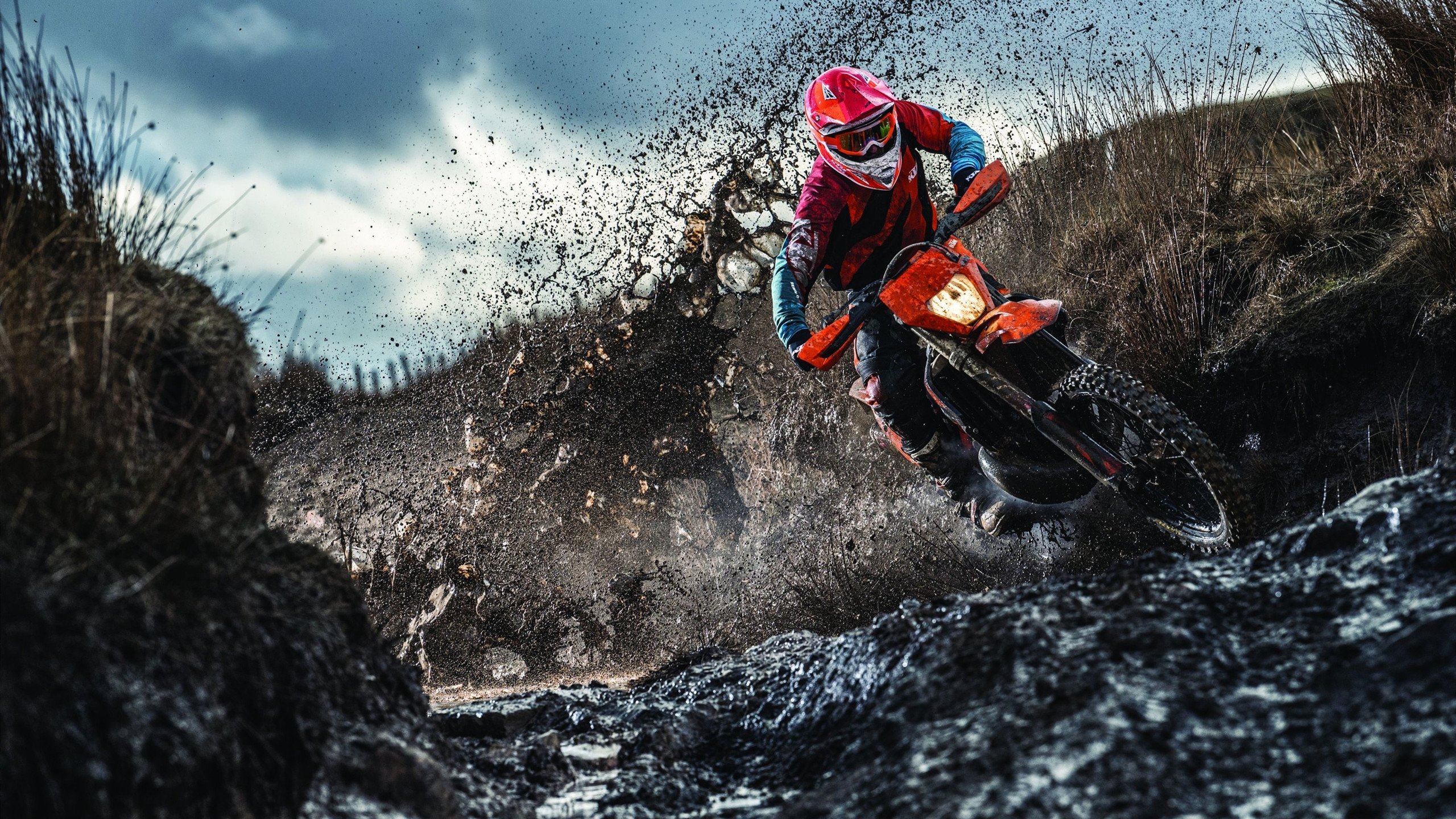 体育新闻中心协办全国体育数字传播创新论坛，体育数字化平台